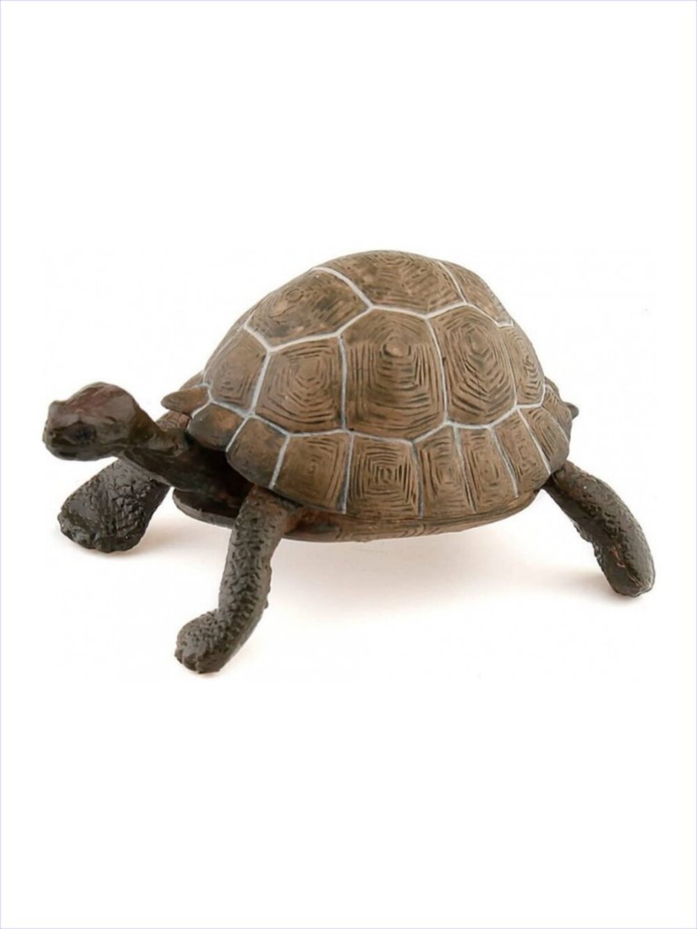 Papo Tortoise Animal Figurine New w/Tag Add-On Item Age 3+